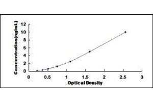 Typical standard curve (Doublecortin Kit ELISA)