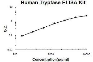Human Tryptase PicoKine ELISA Kit standard curve (TPSAB1 Kit ELISA)