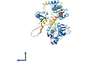 AlphaFold protein structure predicition of Human Recombinant XIAP Protein, UniprotID P98170