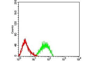 Flow cytometric analysis of HL-60 cells using CD307E mouse mAb (green) and negative control (red).