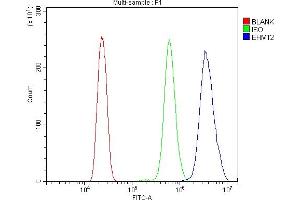 Flow Cytometry analysis of HL-60 cells using anti-EHMT2/G9A antibody (ABIN7602084). (EHMT2 anticorps  (AA 580-1195))
