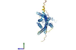 AlphaFold protein structure predicition of Mouse Recombinant S1pr2 Protein, UniprotID P52592