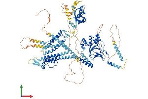 AlphaFold protein structure predicition of Human Recombinant KCNH1 Protein, UniprotID O95259