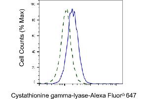 Flow cytometric analysis of cystathionine gamma-lyase expression in HepG2 cells using cystathionine gamma-lyase antibody (ABIN7798231), 1:2,000).