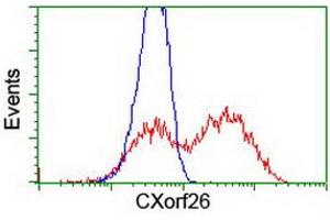 Flow Cytometry (FACS) image for anti-Chromosome X Open Reading Frame 26 (CXorf26) antibody (ABIN1497690) (CXorf26 anticorps)