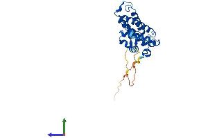 AlphaFold protein structure predicition of Mouse Recombinant Mob2 Protein, UniprotID Q8VI63