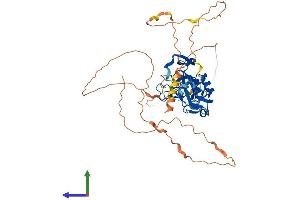AlphaFold protein structure predicition of Mouse Recombinant Tbx1 Protein, UniprotID P70323