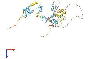 AlphaFold protein structure predicition of Human Recombinant ZFP57 Protein, UniprotID Q9NU63