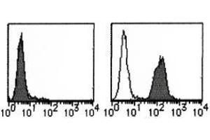 Flow Cytometry (FACS) image for anti-CD274 (PD-L1) (Extracellular Domain) antibody (ABIN1449244) (PD-L1 anticorps  (Extracellular Domain))