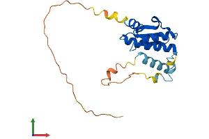 AlphaFold protein structure predicition of Mouse Recombinant Atp23 Protein, UniprotID Q9CWQ3