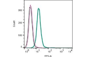Cell surface detection of NPFFR2 by indirect flow cytometry in live intact human  monocytic leukemia cell line: + goat-anti-rabbit-FITC. (NPFFR2 anticorps  (Extracellular))