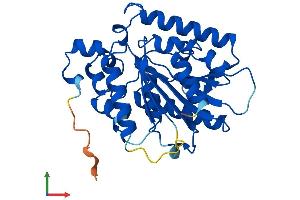 AlphaFold protein structure predicition of Mouse Recombinant Afmid Protein, UniprotID Q8K4H1