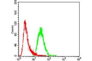 Flow cytometric analysis of A549 cells using FGFR3 mouse mAb (green) and negative control (red).