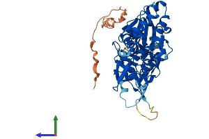 AlphaFold protein structure predicition of Human Recombinant ACTL7A Protein, UniprotID Q9Y615