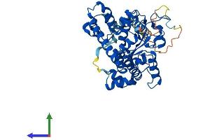 AlphaFold protein structure predicition of Mouse Recombinant Gal3st1 Protein, UniprotID Q9JHE4