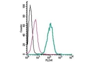 Cell surface detection of xCT/SLC7A11 in live intact human THP-1 monocytic leukemia cells: (black line) Cells.