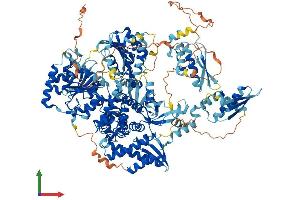 AlphaFold protein structure predicition of Mouse Recombinant Dhx30 Protein, UniprotID Q99PU8