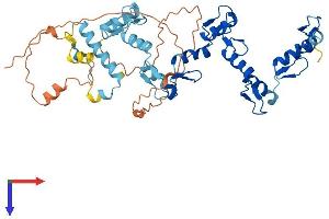 AlphaFold protein structure predicition of Human Recombinant ZNF773 Protein, UniprotID Q6PK81