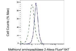 Validation of Methionyl aminopeptidase 2 knockdown using flow cytometry. (Recombinant METAP2 anticorps)