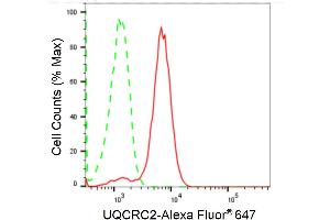 Flow cytometric analysis of UQCRC2 expression in HepG2 cells using UQCRC2 antibody (ABIN7800703), 1:2,000). (Recombinant UQCRC2 anticorps)