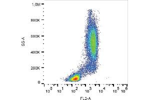 Flow cytometry analysis (surface staining) of CD114 in human peripheral blood with anti-CD114 (LMM741) PE.