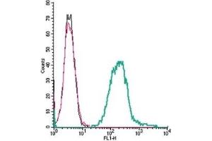 Cell surface detection of Semaphorin 4A by indirect flow cytometry in live intact mouse J774 monocyte cells: (black line) Cells.