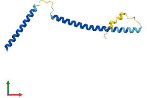 AlphaFold protein structure predicition of Mouse Recombinant Ska2 Protein, UniprotID Q9CR46