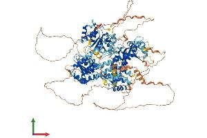 AlphaFold protein structure predicition of Human Recombinant RECQL4 Protein, UniprotID O94761