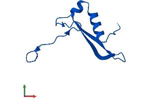 AlphaFold protein structure predicition of Human Recombinant RPS21 Protein, UniprotID P63220