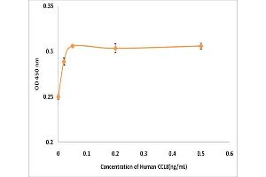 Activity Assay (AcA) image for Chemokine (C-C Motif) Ligand 8 (CCL8) (Active) protein (ABIN5509367) (CCL8 Protéine)