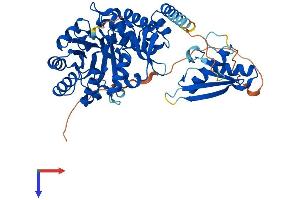 AlphaFold protein structure predicition of Human Recombinant DUS2 Protein, UniprotID Q9NX74
