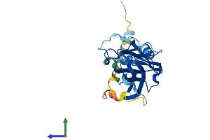 AlphaFold protein structure predicition of Human Recombinant ARHGDIG Protein, UniprotID Q99819