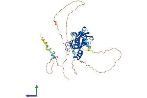 AlphaFold protein structure predicition of Human Recombinant TBX20 Protein, UniprotID Q9UMR3