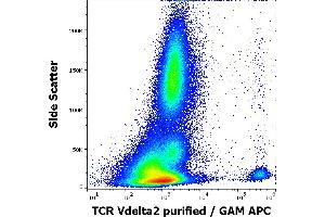 Flow cytometry surface staining pattern of human peripheral whole blood stained using anti-human TCR Vdelta2 (B6) purified antibody (concentration in sample 0,3 μg/mL, GAM APC). (TCR, V delta 2 anticorps)