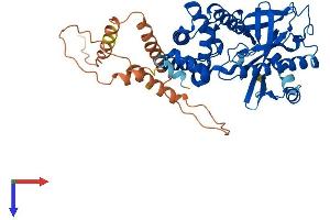 AlphaFold protein structure predicition of Human Recombinant MIEF1 Protein, UniprotID Q9NQG6