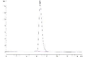 The purity of Mouse CD164 is greater than 95 % as determined by SEC-HPLC.