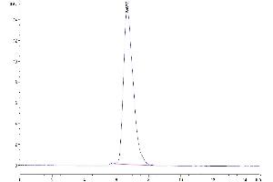 The purity of Mouse CD164 is greater than 95 % as determined by SEC-HPLC. (CD164 Protein (CD164) (AA 24-162) (Fc Tag))
