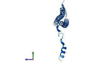 AlphaFold protein structure predicition of Mouse Recombinant Pdrg1 Protein, UniprotID P59048
