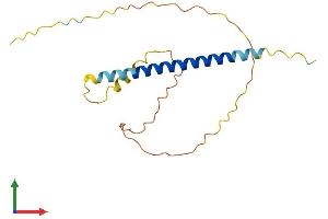 AlphaFold protein structure predicition of Human Recombinant C18orf15 Protein, UniprotID Q96N68