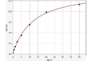Typical standard curve (STAT5A Kit ELISA)