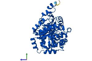 AlphaFold protein structure predicition of Human Recombinant ENOSF1 Protein, UniprotID Q7L5Y1