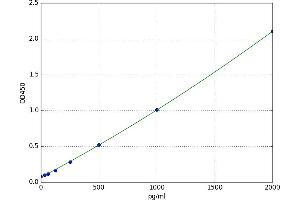 Cathepsin L2 (CTSL2) ELISA Kit