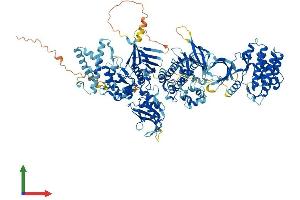 AlphaFold protein structure predicition of Mouse Recombinant Jak1 Protein, UniprotID P52332