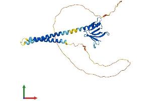 AlphaFold protein structure predicition of Mouse Recombinant Plekha3 Protein, UniprotID Q9ERS4