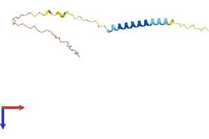AlphaFold protein structure predicition of Human Recombinant BEX3 Protein, UniprotID Q00994