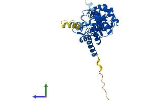 AlphaFold protein structure predicition of Mouse Recombinant Gdpd3 Protein, UniprotID Q99LY2