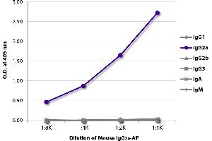 Mouse IgG2a isotype control (Alkaline Phosphatase (AP))