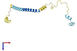 AlphaFold protein structure predicition of Mouse Recombinant Cplx2 Protein, UniprotID P84086