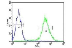 STING antibody flow cytometric analysis of Jurkat cells (green) compared to a negative control (blue).