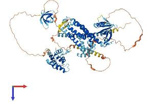 AlphaFold protein structure predicition of Human Recombinant ARHGEF6 Protein, UniprotID Q15052